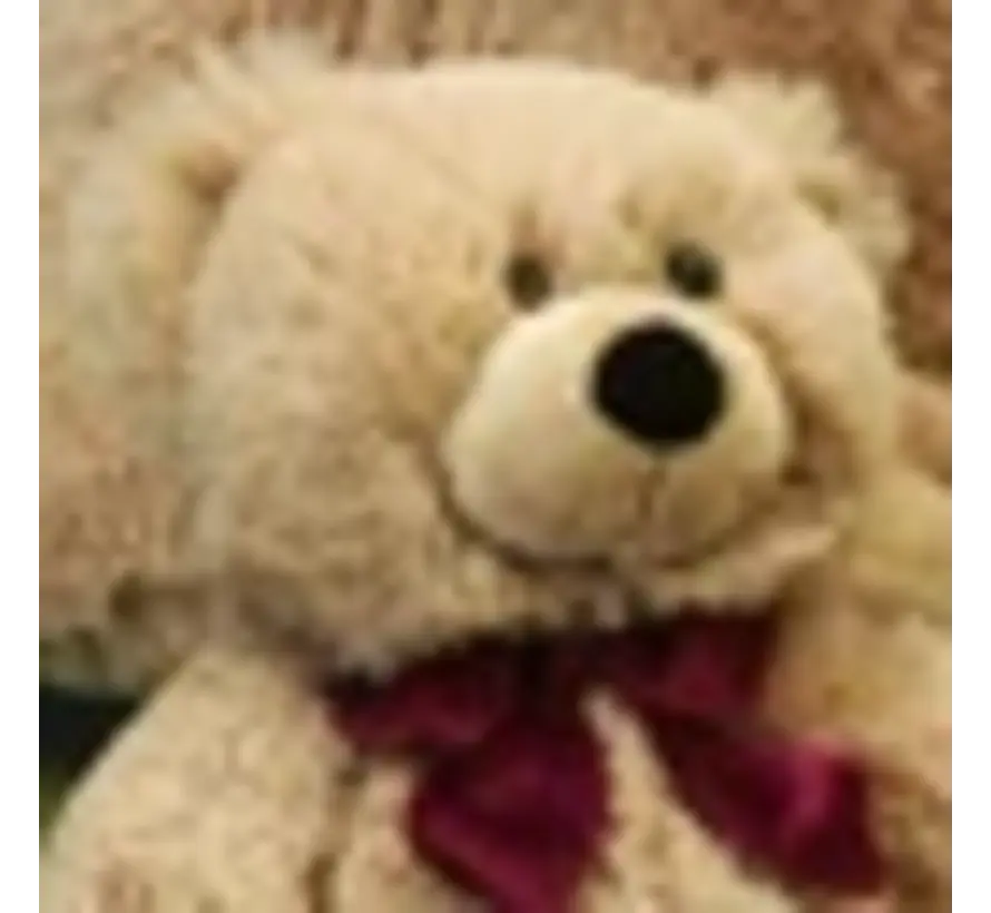 Knuffel Beer klein 39cm