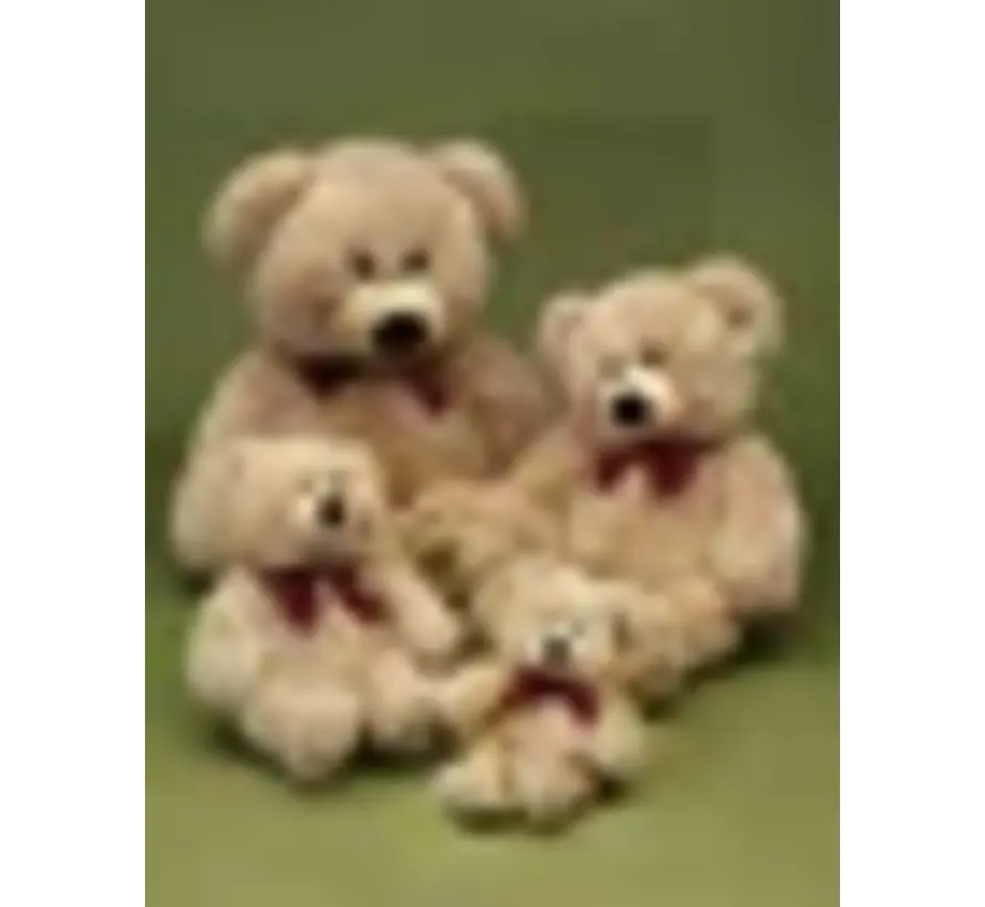 Knuffel Beer klein 39cm