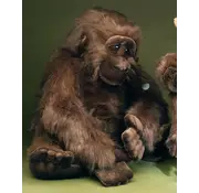 Förster Knuffel Gorilla extra groot 80cm