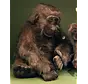 Knuffel Gorilla extra groot 80cm