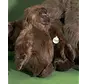 Knuffel Gorilla groot 40cm