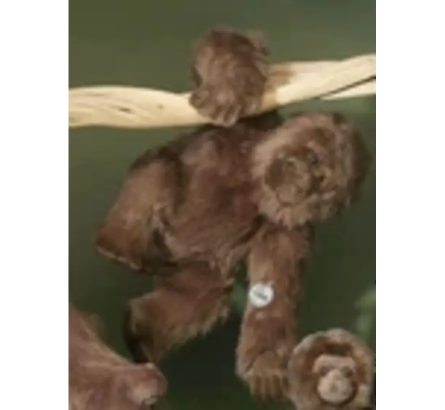 Knuffel Gorilla groot 40cm