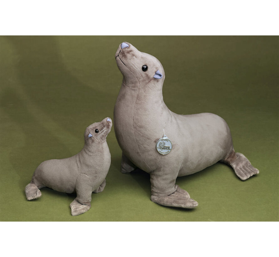 Knuffel Zeehond groot 40cm