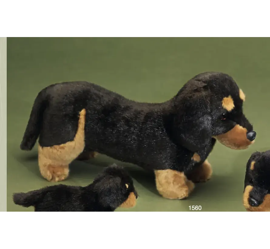 Knuffel Kortharige Teckel groot 42cm