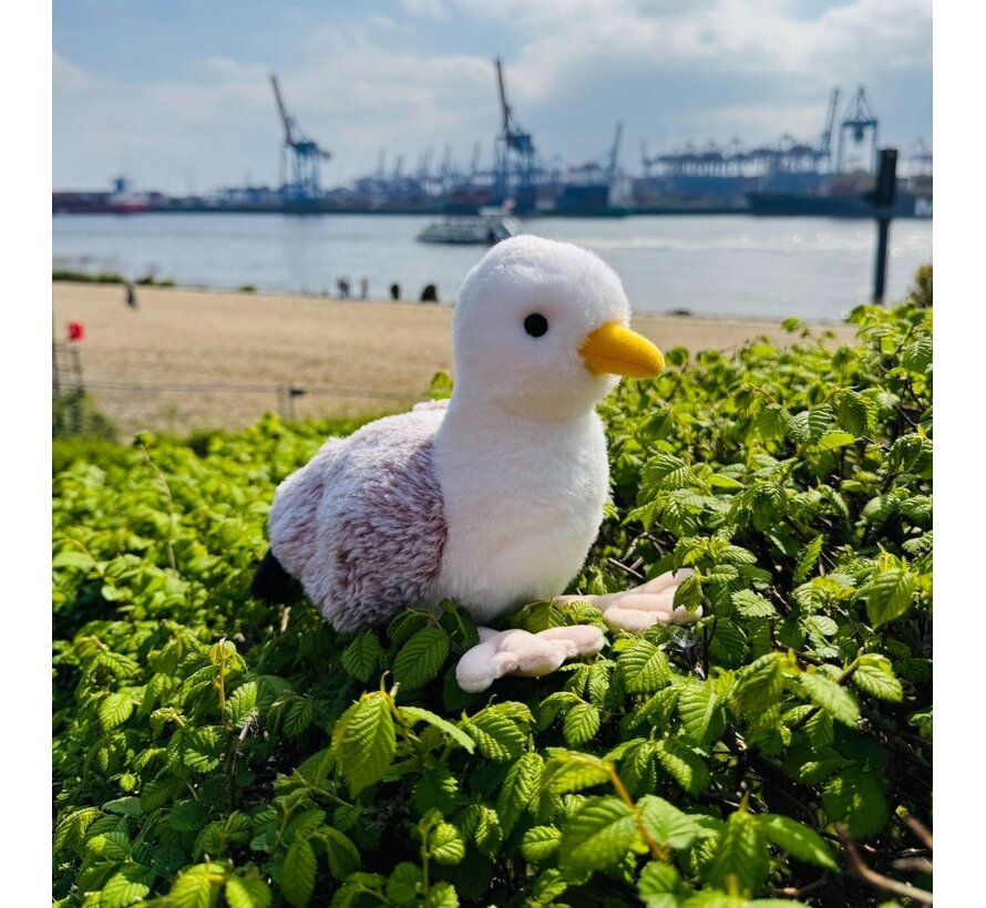 Knuffel Meeuw 20cm