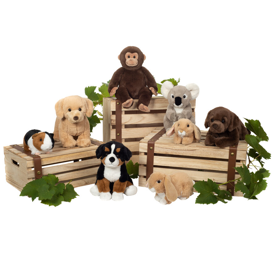 Knuffel Aap Zittend 35cm