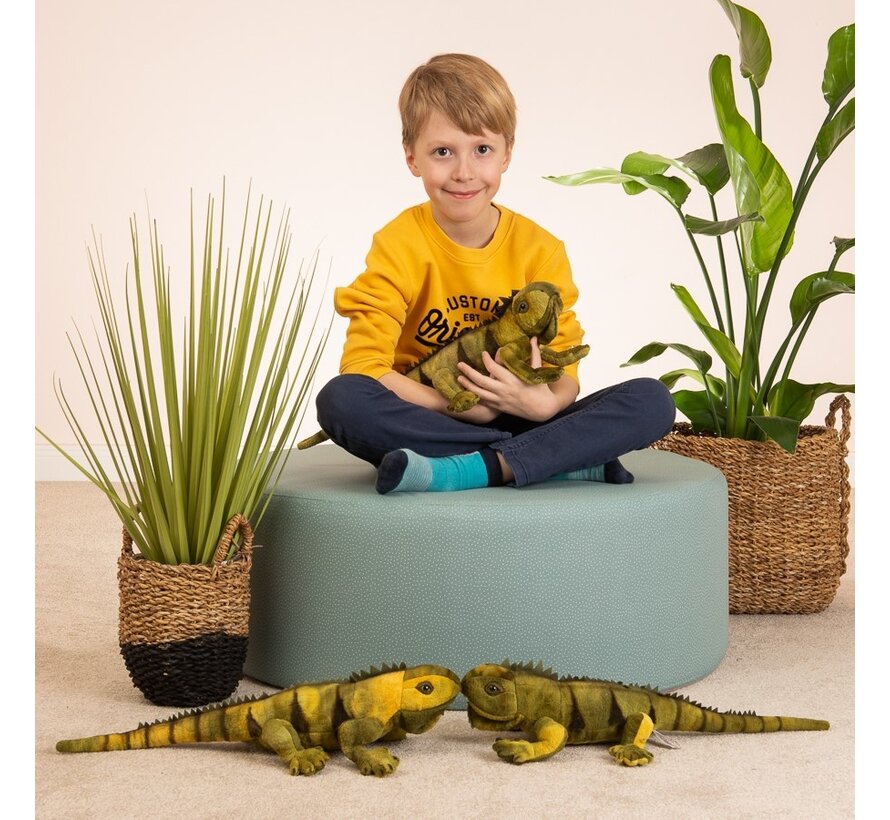 Knuffel Leguaan 49cm