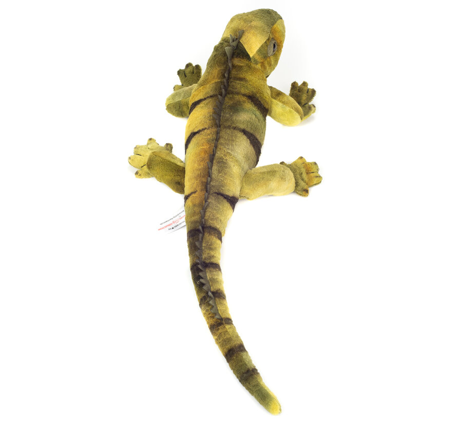Knuffel Leguaan 49cm