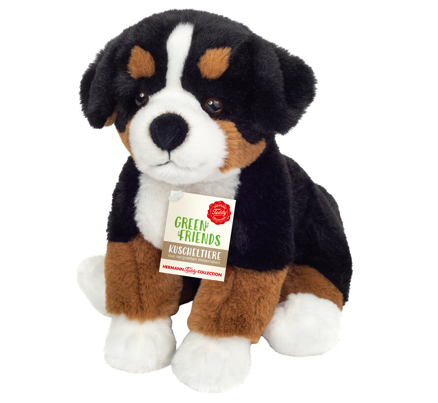 Knuffel Berner Sennenhond Zittend 26cm