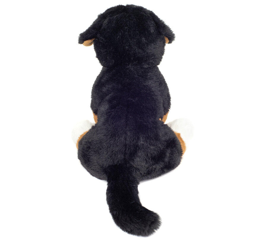 Knuffel Berner Sennenhond Zittend 26cm