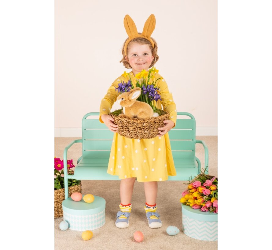 Knuffel Haas Zittend Beige 20cm