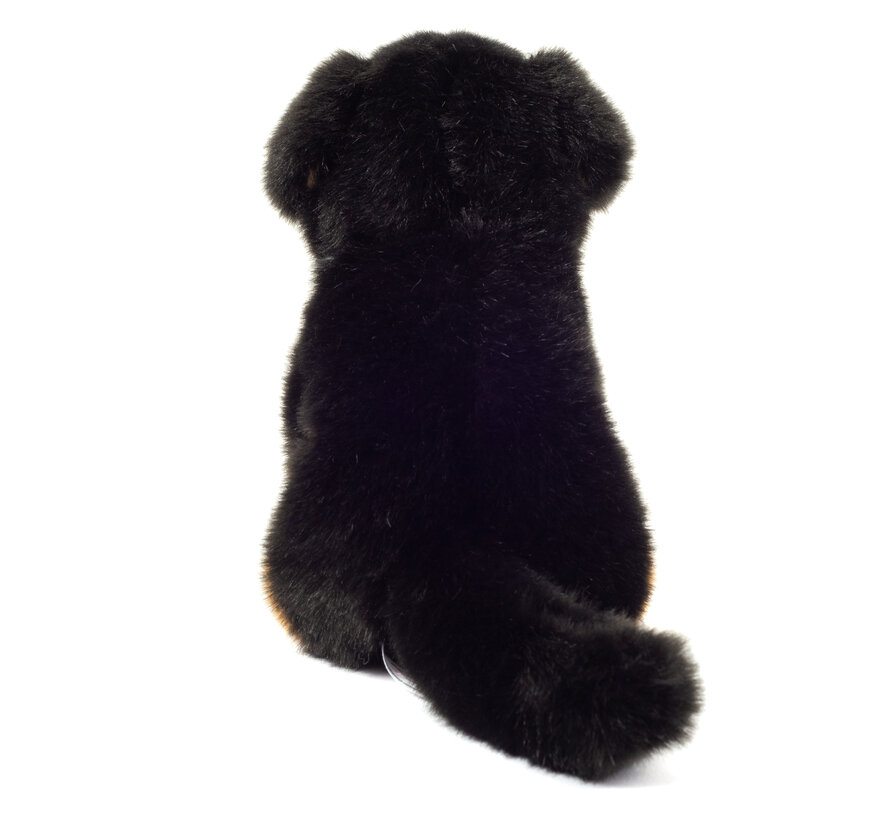 Knuffel Berner Sennenhond Zittend 21cm