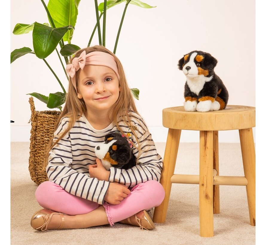 Knuffel Berner Sennenhond Zittend 21cm