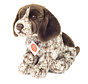 Knuffel Hond Duitse Staander 30cm