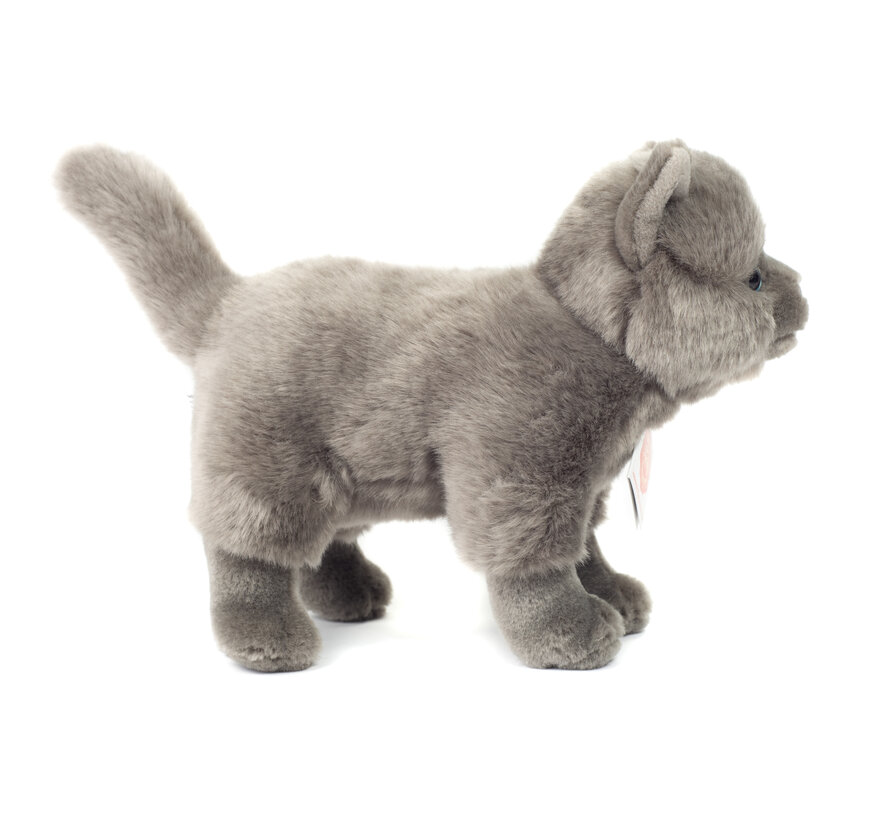 Knuffel Kat Kartuizer Staand 20cm