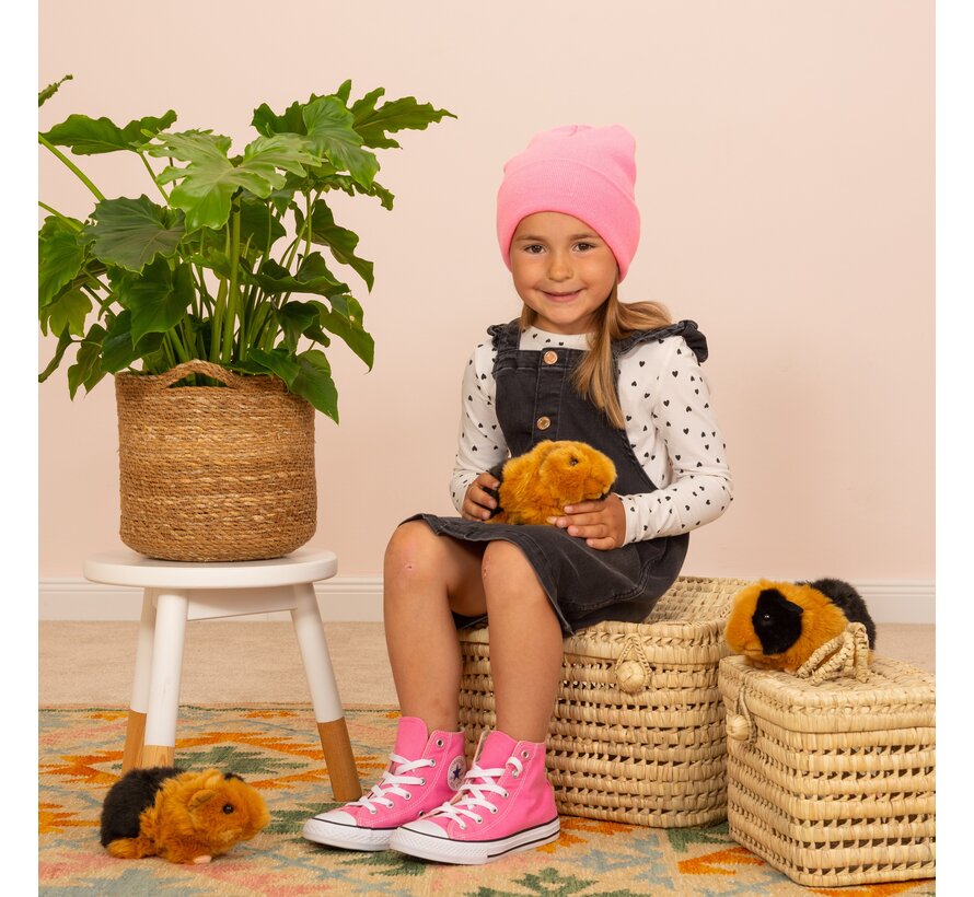 Knuffel Cavia Zwart Goud 20 cm