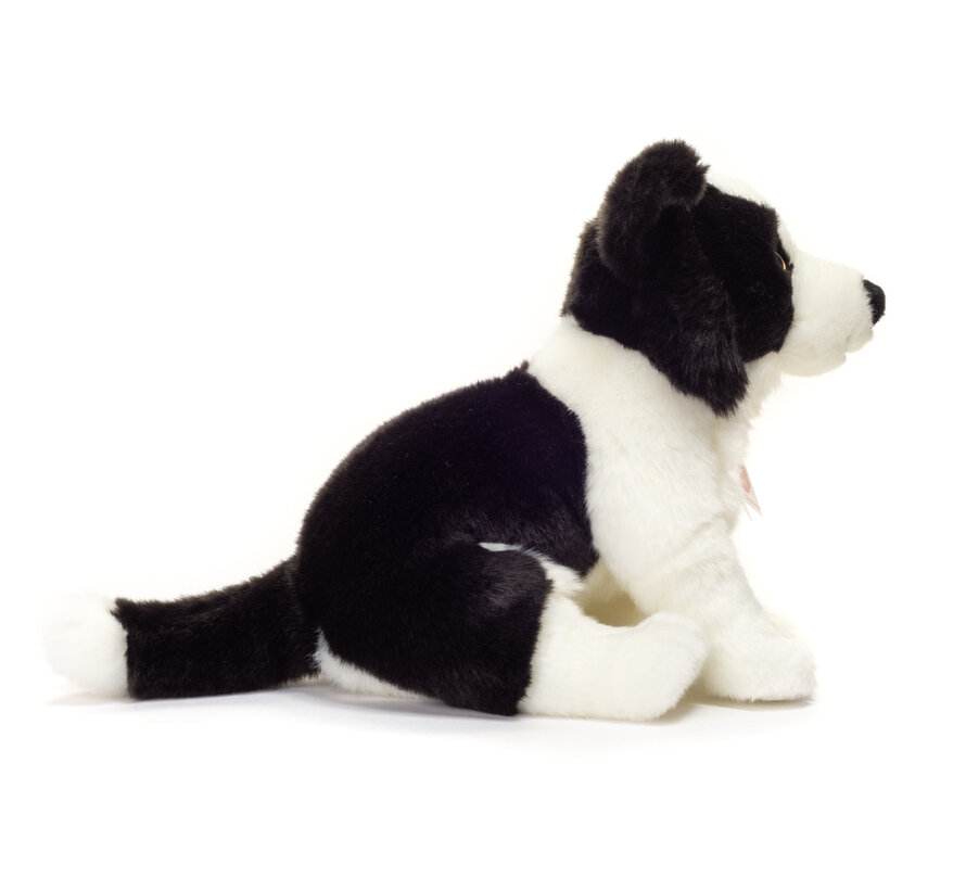 Knuffel Hond Border Collie Puppy 24cm