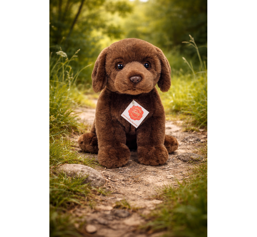 Knuffel Hond Labrador Bruin 25cm