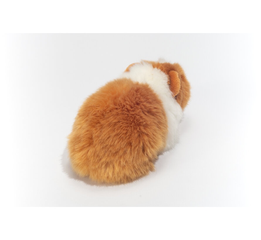 Knuffel Cavia Goud Wit