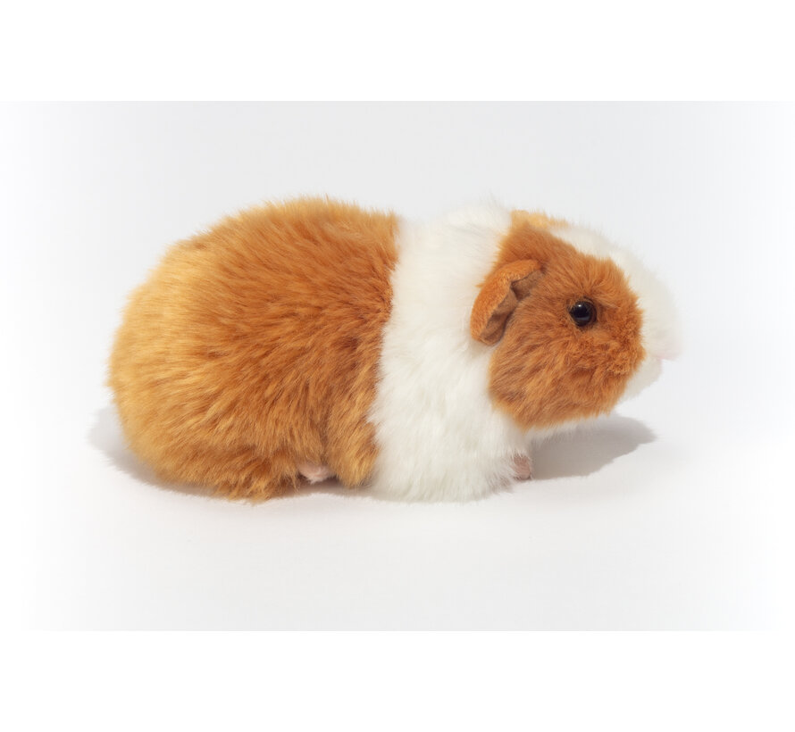 Knuffel Cavia Goud Wit
