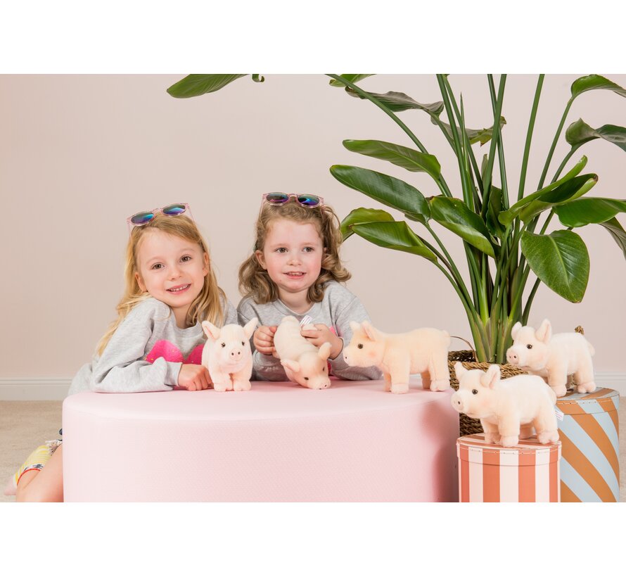 Knuffel Varken Staand 20 cm