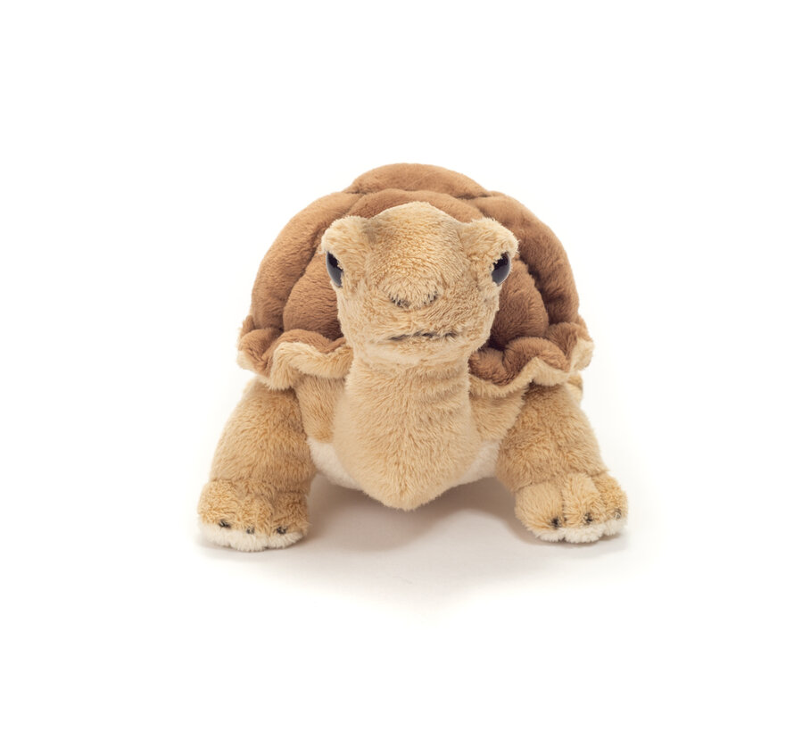 Knuffel Schildpad 20cm