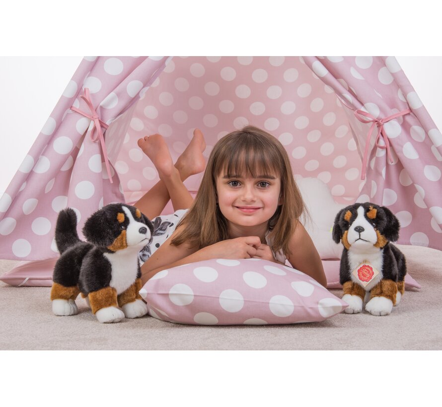 Knuffel Berner Sennenhond Puppy 23cm