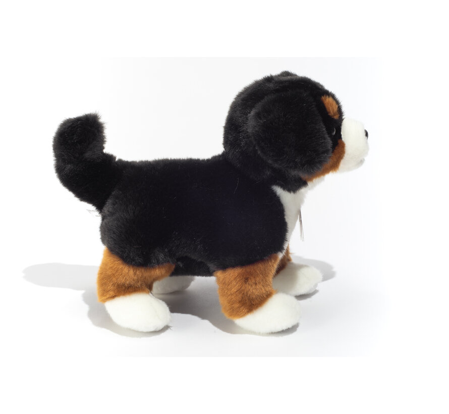 Knuffel Berner Sennenhond Puppy 23cm
