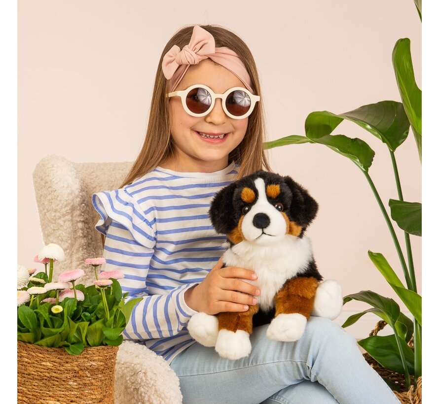 Knuffel Berner Sennenhond 29cm