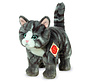Knuffel Kat Grijs Staand 20cm