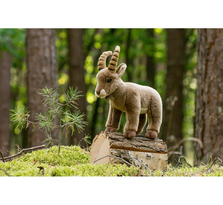 Knuffel Steenbok 26cm