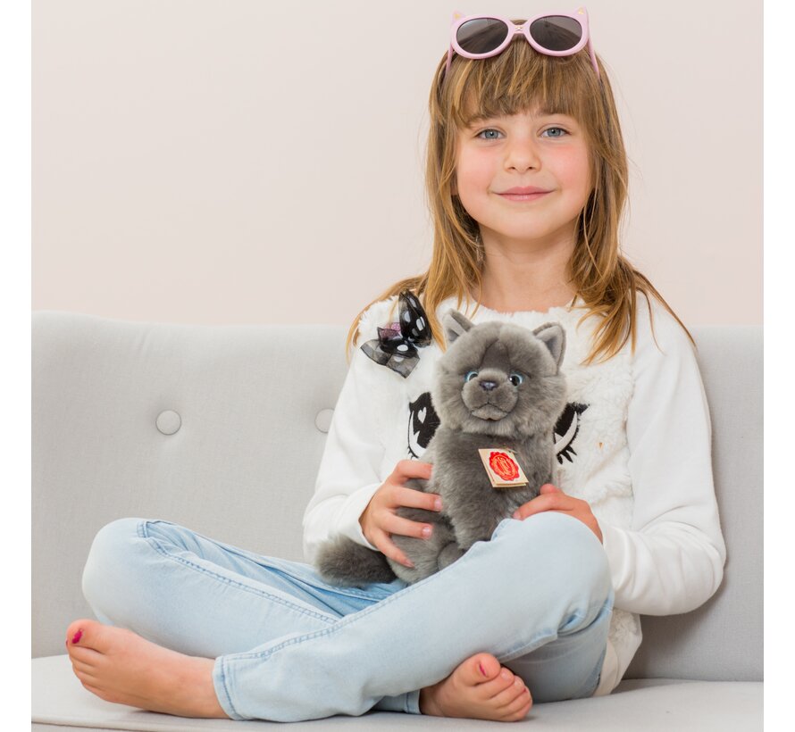 Knuffel Kat Karthuizer Chartreux 20cm