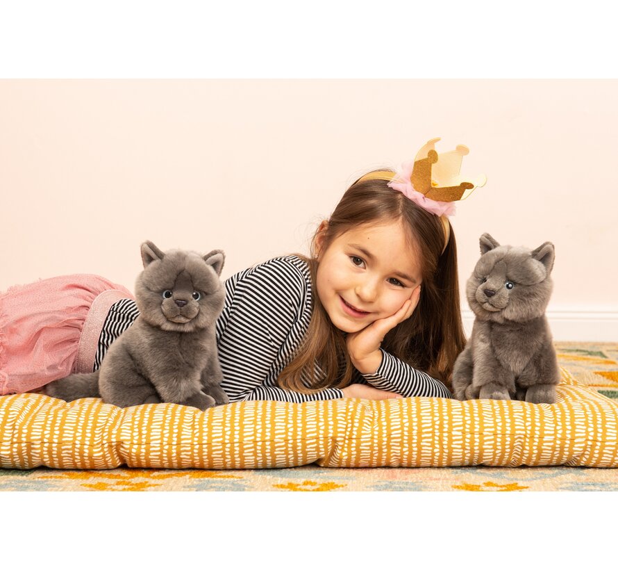 Knuffel Kat Karthuizer Chartreux 20cm