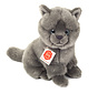 Knuffel Kat Karthuizer Chartreux 20cm