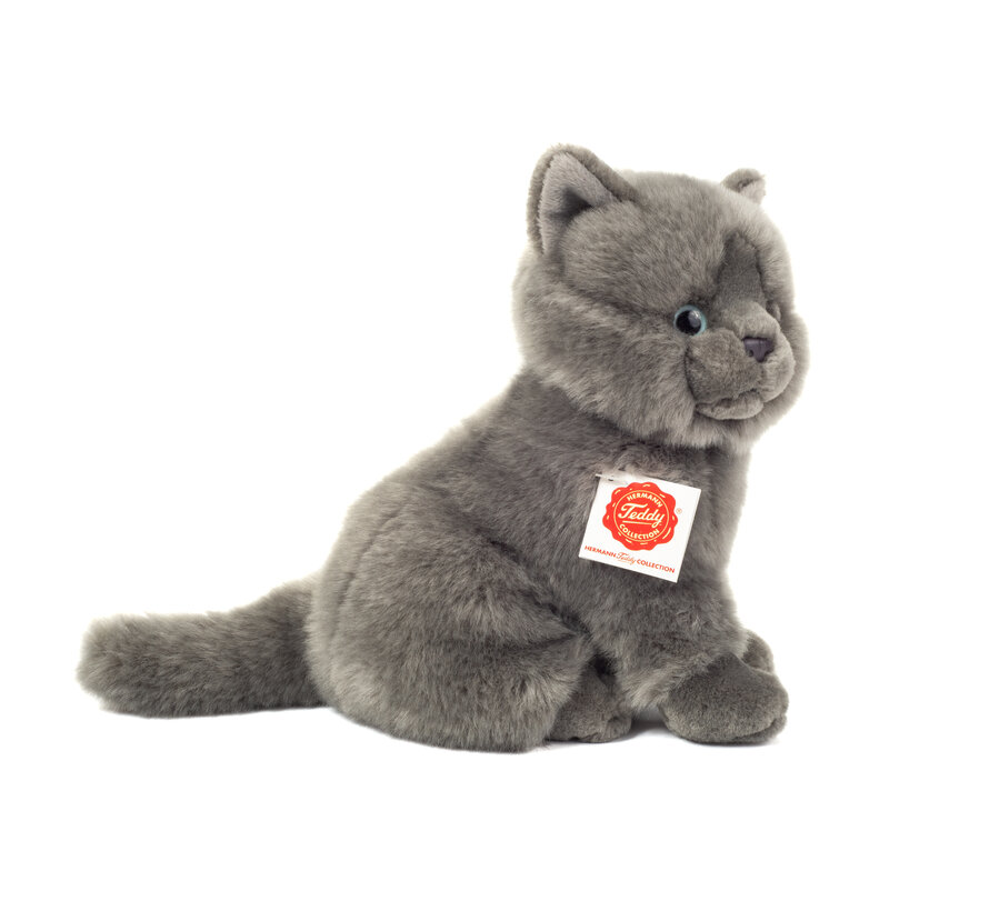 Knuffel Kat Karthuizer Chartreux 20cm