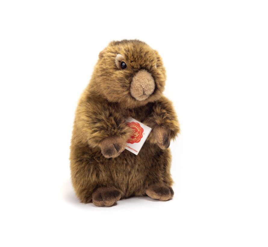 Knuffel Marmot 20cm