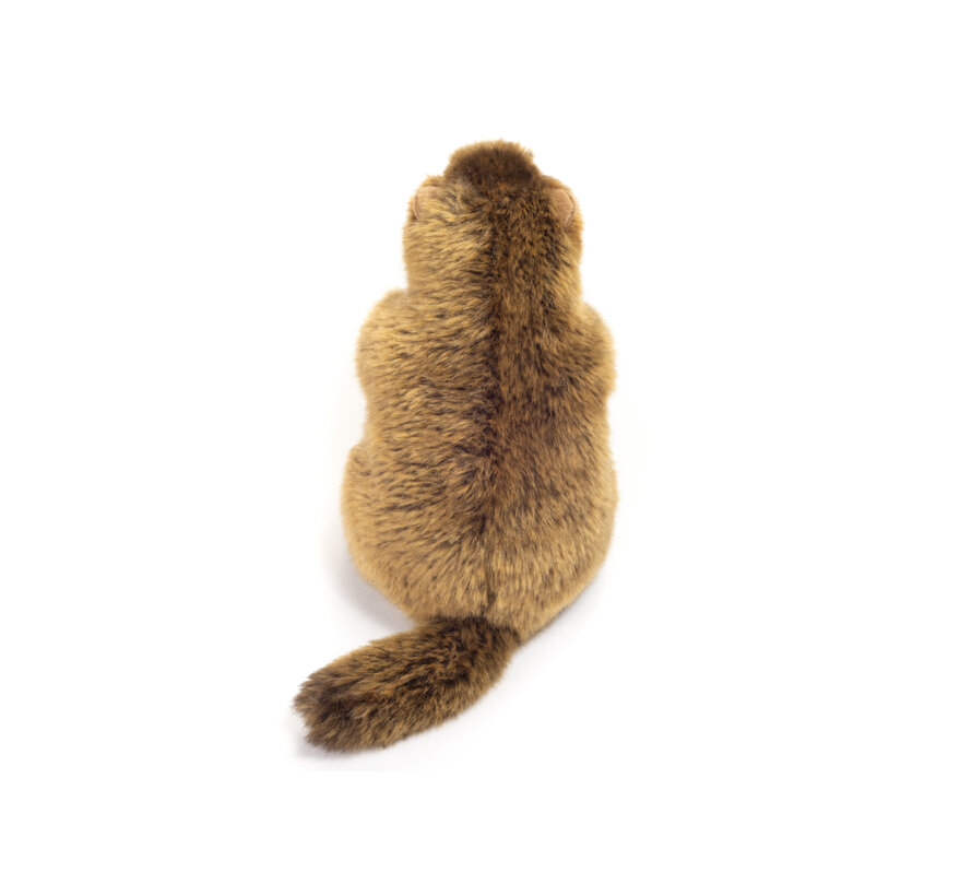 Knuffel Marmot 20cm