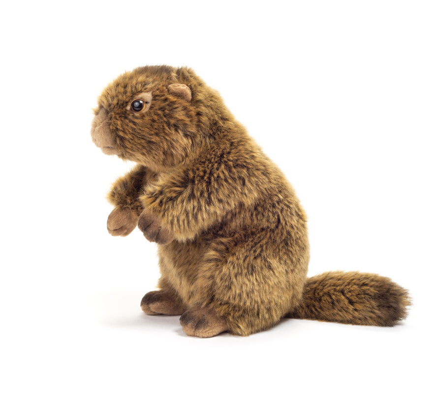 Knuffel Marmot 20cm