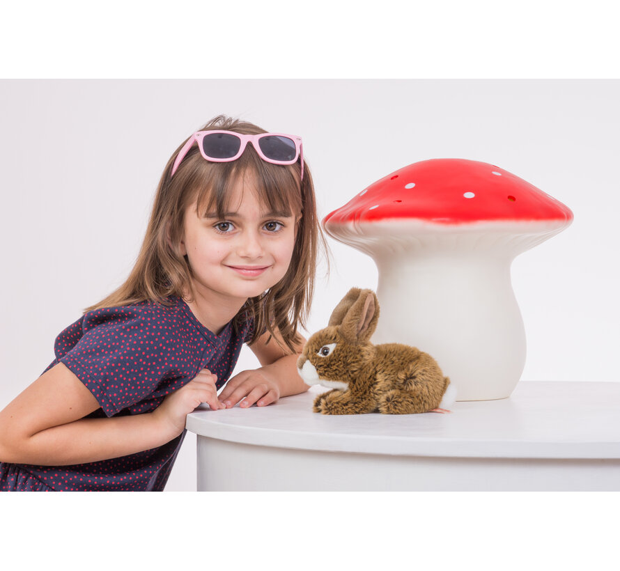 Knuffel Haas Bruin 19cm