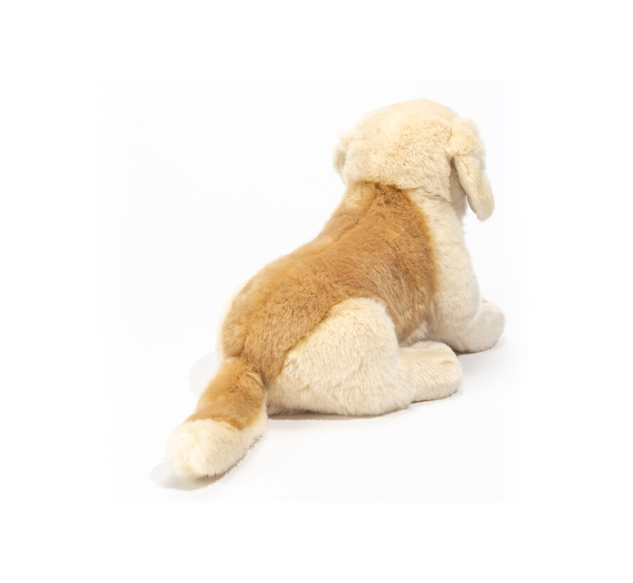 Knuffel Hond Golden Retriever 30cm