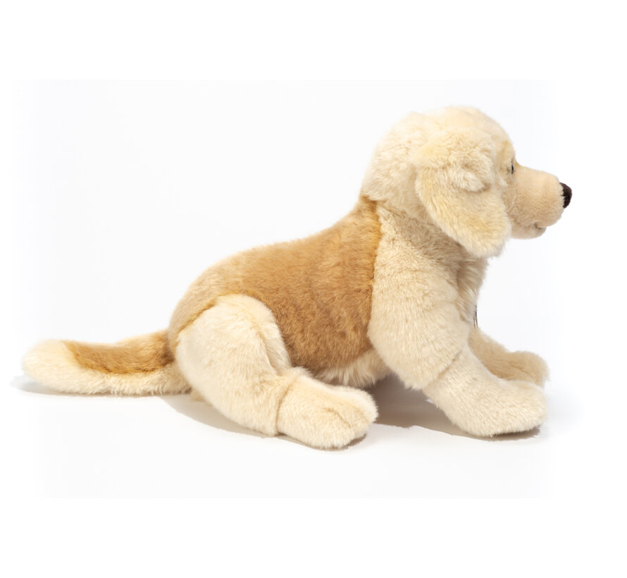 Knuffel Hond Golden Retriever 30cm