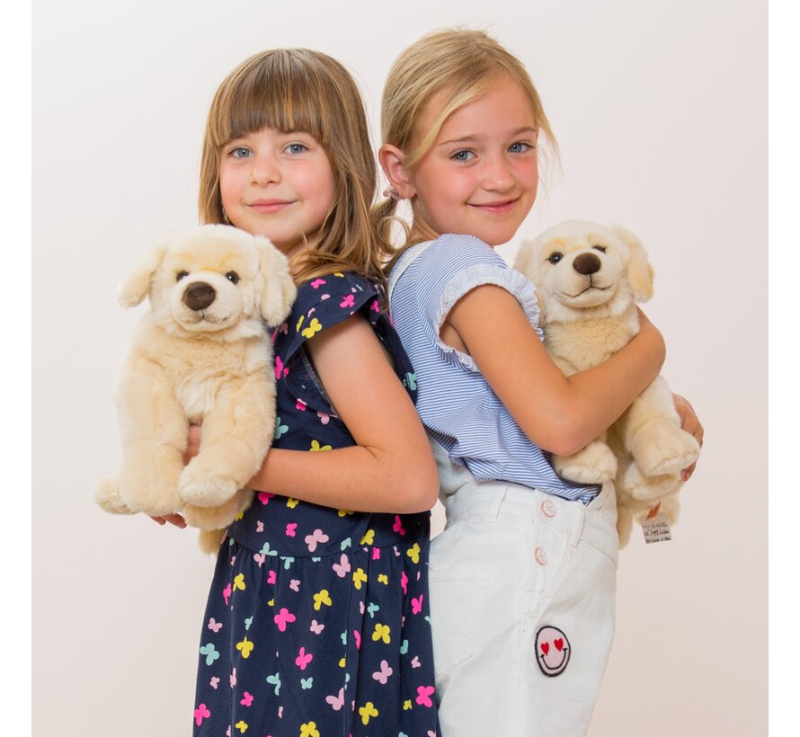 Knuffel Hond Golden Retriever 30cm