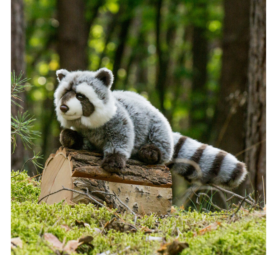 Knuffel Wasbeer 29cm