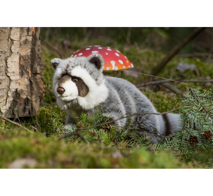 Knuffel Wasbeer 29cm