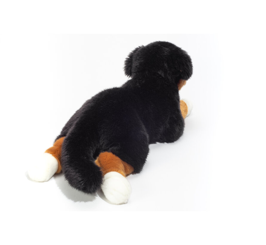 Knuffel Berner Sennenhond 40cm