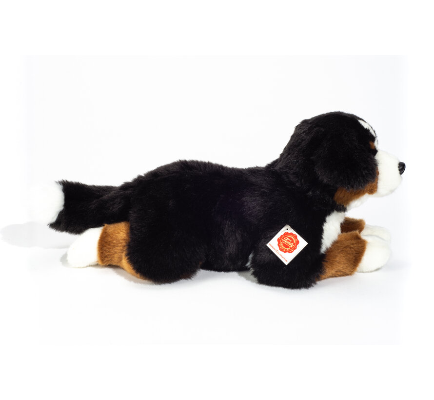 Knuffel Berner Sennenhond 40cm