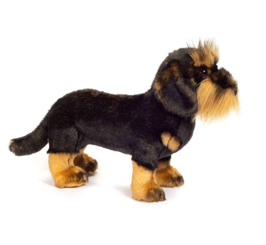 Knuffel Hond Ruwharige Teckel 28cm