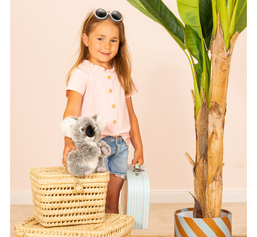 Knuffel Koala Buidelbeer 21cm