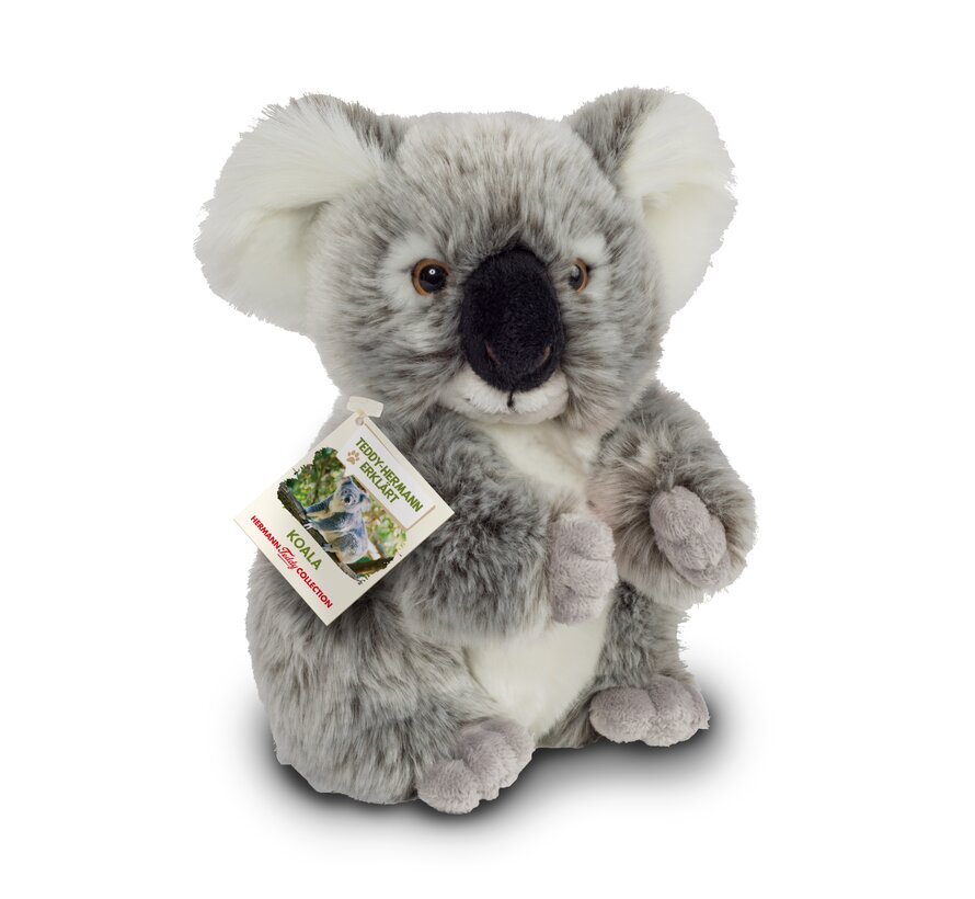 Knuffel Koala Buidelbeer 21cm