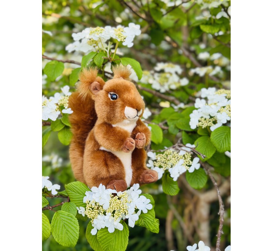 Knuffel Eekhoorn 17cm